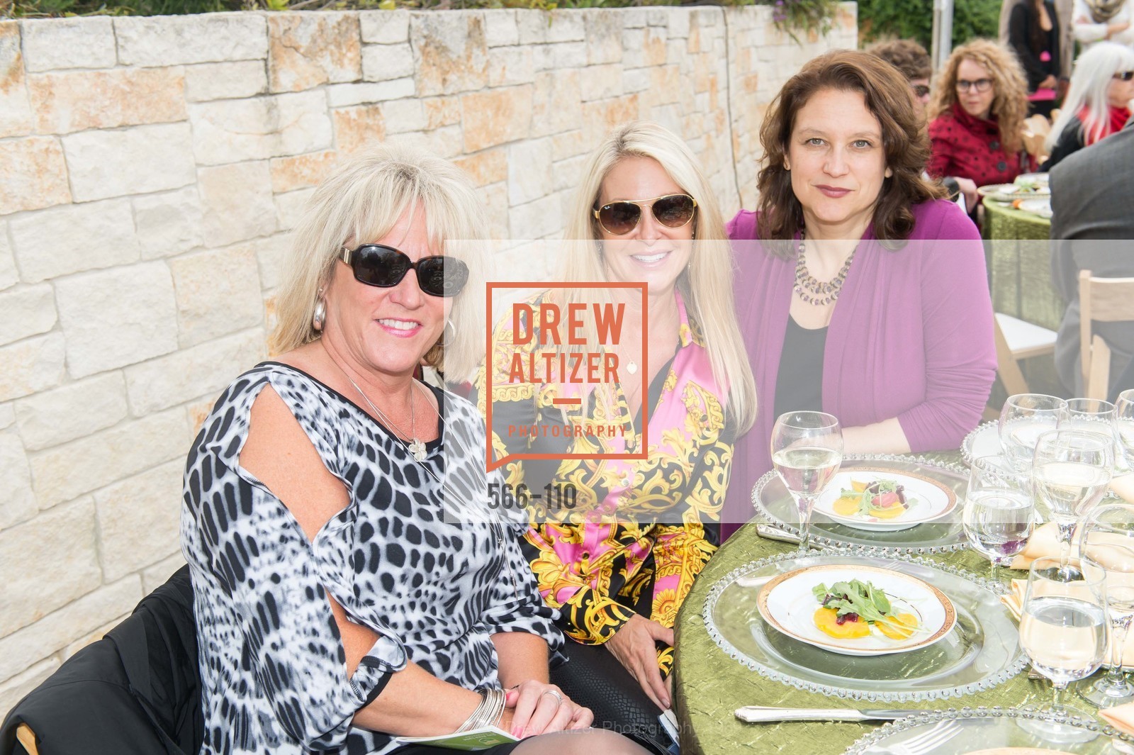 Rachel Berg, LYME AID 2015 Benefiting the Bay Area Lyme Foundation, Private Residence, May 16th, 2015,Drew Altizer, Drew Altizer Photography, full-service event agency, private events, San Francisco photographer, photographer California