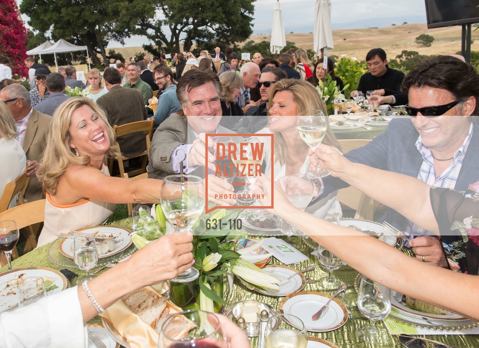 Lucy Kuchan, Joe Nemeth, Vita Strimaitis, Craig Cousins, LYME AID 2015 Benefiting the Bay Area Lyme Foundation, Private Residence, May 16th, 2015,Drew Altizer, Drew Altizer Photography, full-service agency, private events, San Francisco photographer, photographer california