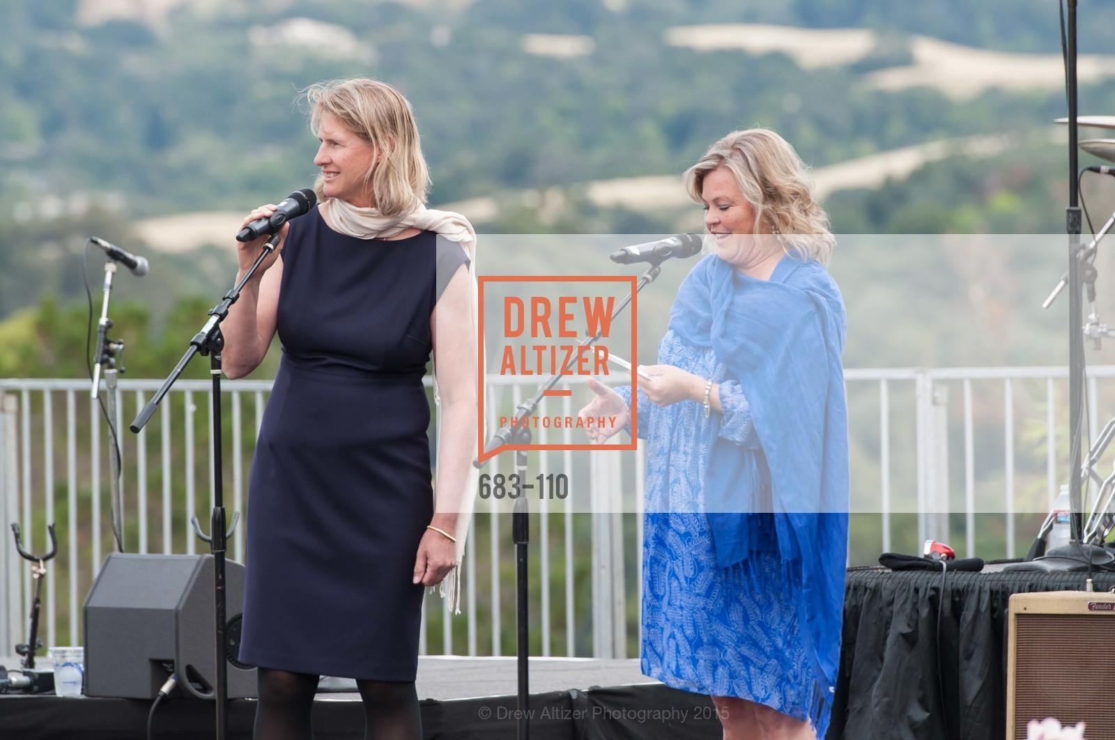 Bonnie Crater, Linda Giampa, LYME AID 2015 Benefiting the Bay Area Lyme Foundation, Private Residence, May 16th, 2015