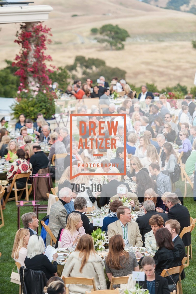 Extras, LYME AID 2015 Benefiting the Bay Area Lyme Foundation, May 16th, 2015, Photo,Drew Altizer, Drew Altizer Photography, full-service agency, private events, San Francisco photographer, photographer california