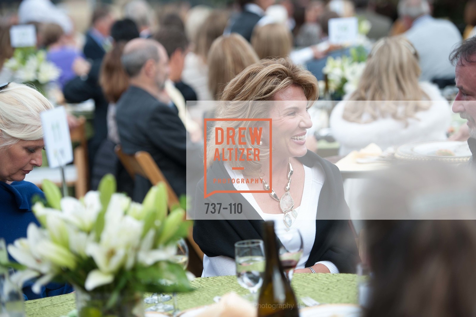 Jen Abed, LYME AID 2015 Benefiting the Bay Area Lyme Foundation, Private Residence, May 16th, 2015,Drew Altizer, Drew Altizer Photography, full-service agency, private events, San Francisco photographer, photographer california