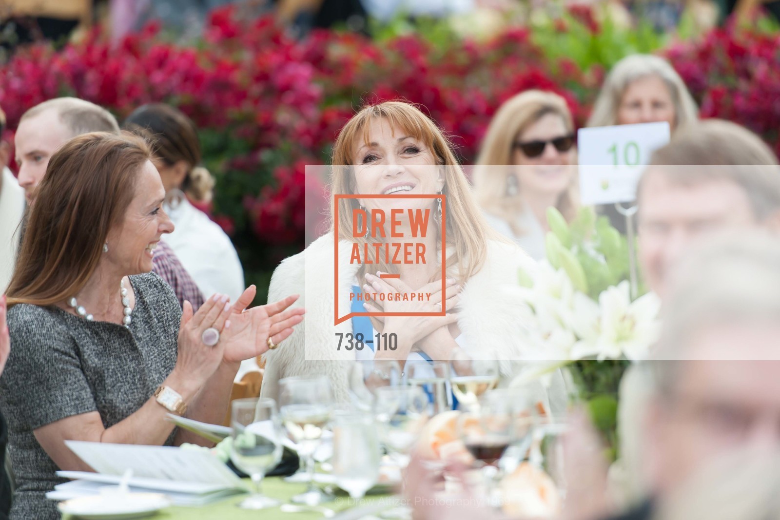 Elisabeth Thieriot, Jane Seymour, LYME AID 2015 Benefiting the Bay Area Lyme Foundation, Private Residence, May 16th, 2015,Drew Altizer, Drew Altizer Photography, full-service agency, private events, San Francisco photographer, photographer california