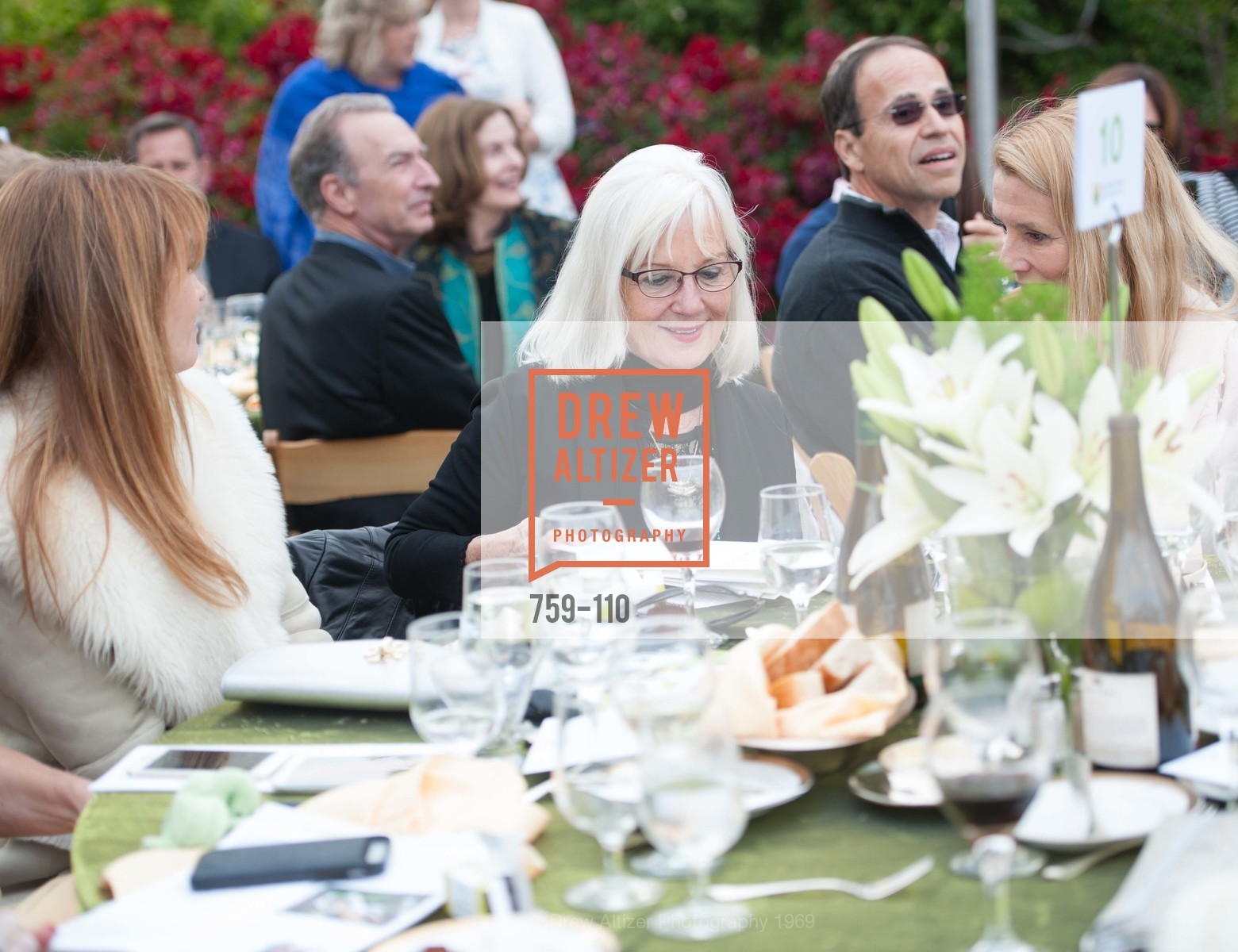 Arlene Inch, LYME AID 2015 Benefiting the Bay Area Lyme Foundation, Private Residence, May 16th, 2015,Drew Altizer, Drew Altizer Photography, full-service agency, private events, San Francisco photographer, photographer california