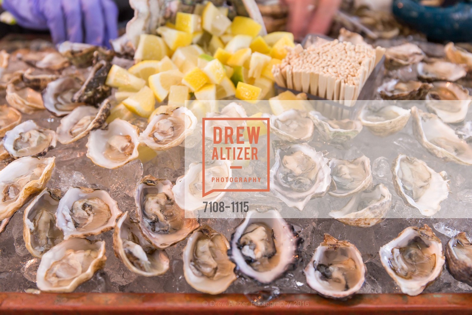 Atmosphere, Meals on Wheels 29th Annual Star Chefs & Vintners Gala, Fort Mason Center. 2 Marina Blvd, April 17th, 2016, Photo #7108-1115 Atmosphere, Photo #7108-1115