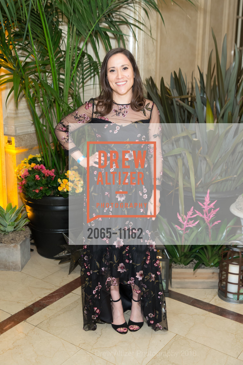Melissa Heredia, Raphael House Gala 2018, Palace Hotel. 2 New Montgomery Street, May 5th, 2018, Photo #2065-11162 Melissa Heredia, Photo #2065-11162