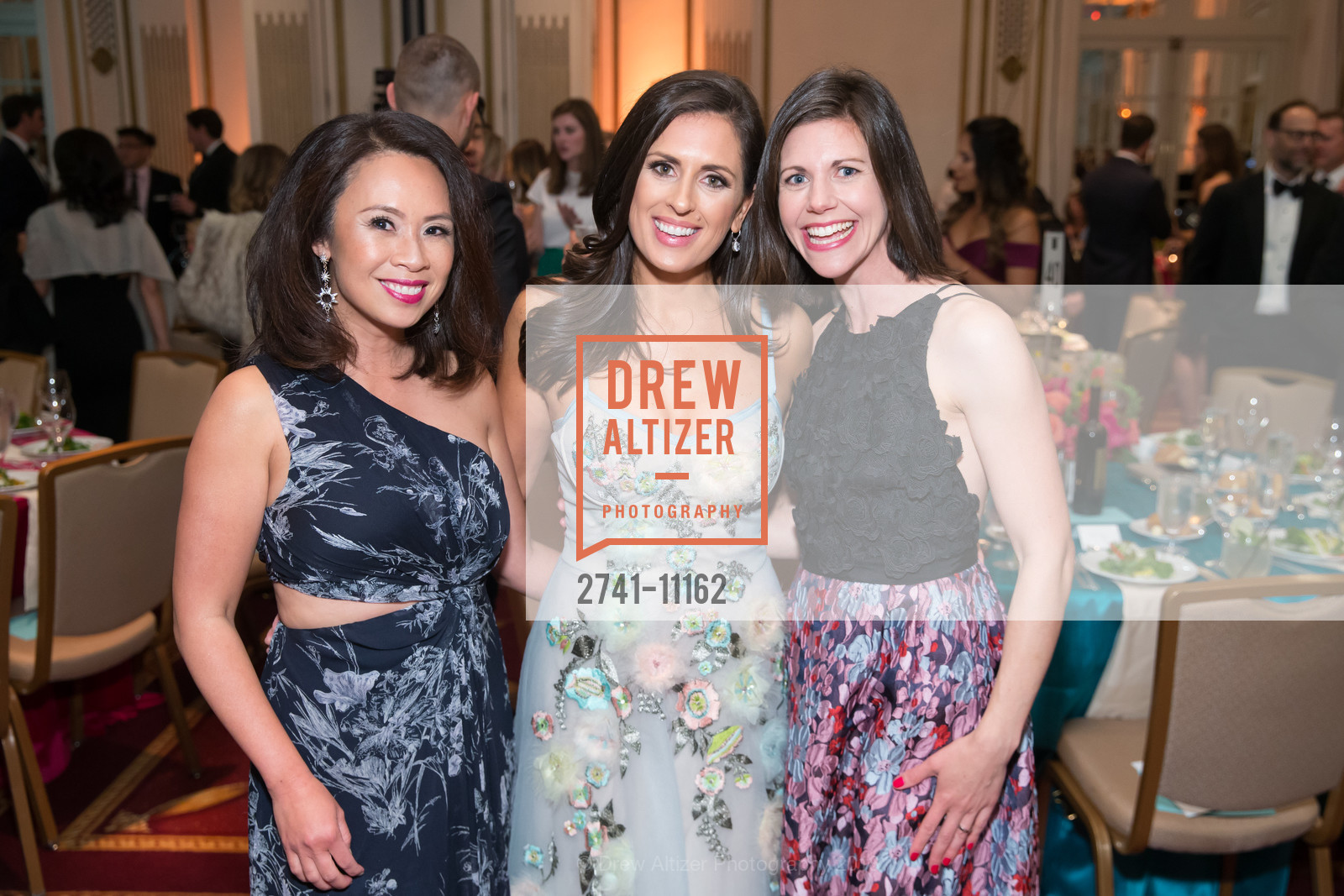 Nielma Hock, Terra Sollman, Teresa Carr, Raphael House Gala 2018, Palace Hotel. 2 New Montgomery Street, May 5th, 2018, Photo #2741-11162 Nielma Hock, Terra Sollman, Teresa Carr, Photo #2741-11162