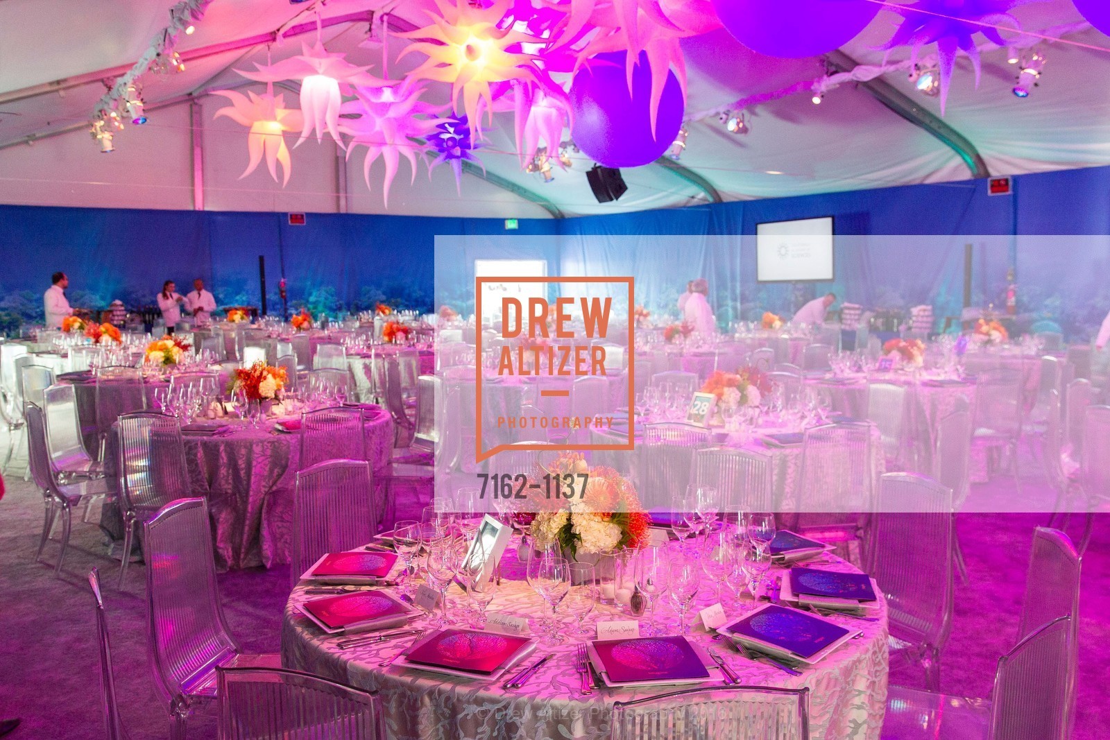 Atmosphere, California Academy of Sciences - 2016 Big Bang Gala, California Academy of Sciences, April 28th, 2016, Photo #7162-1137 Atmosphere, Photo #7162-1137