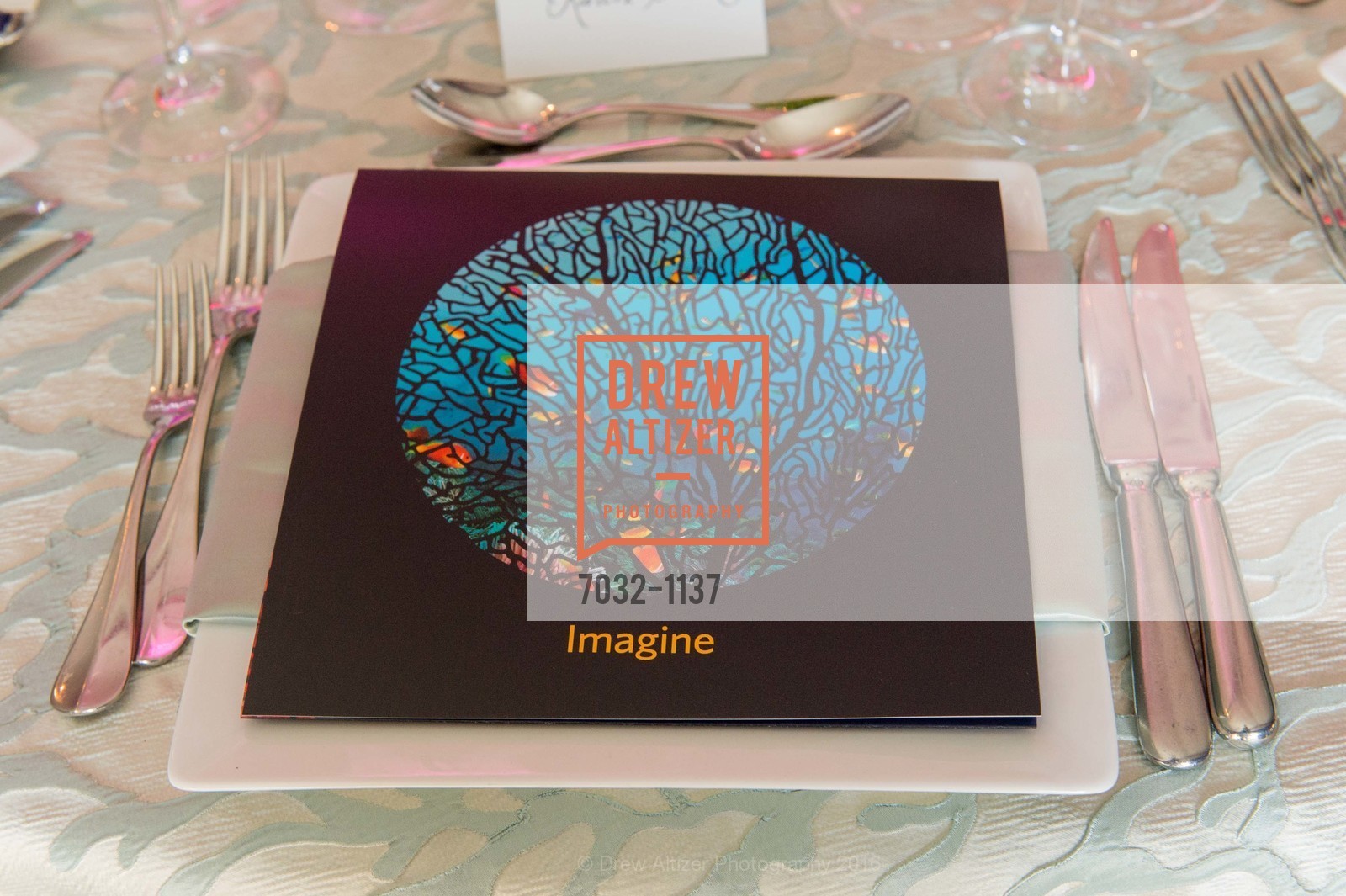 Atmosphere, California Academy of Sciences - 2016 Big Bang Gala, California Academy of Sciences, April 28th, 2016, Photo #7032-1137 Atmosphere, Photo #7032-1137