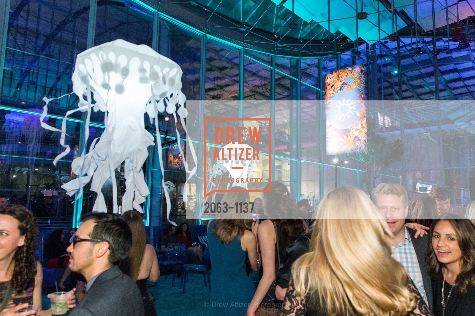 Atmosphere, California Academy of Sciences - 2016 Big Bang Gala, California Academy of Sciences, April 28th, 2016, Photo #2063-1137 Atmosphere, Photo #2063-1137