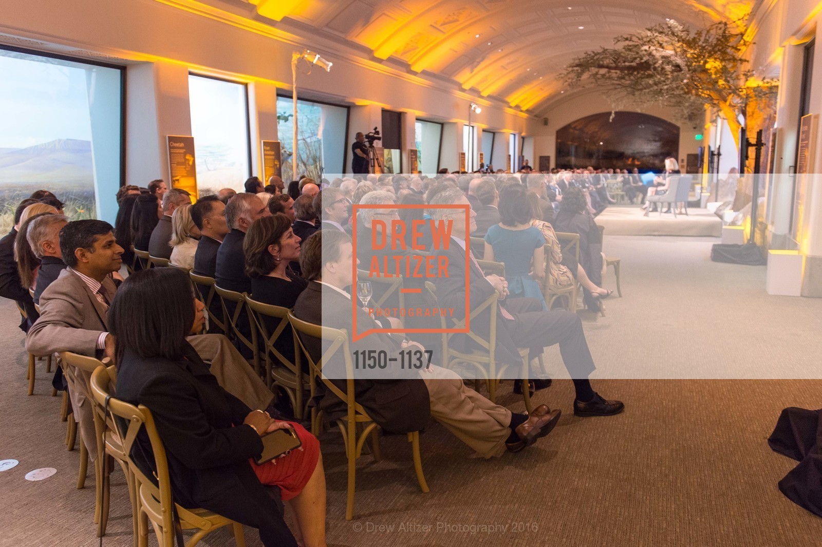 Atmosphere, California Academy of Sciences - 2016 Big Bang Gala, California Academy of Sciences, April 28th, 2016, Photo #1150-1137 Atmosphere, Photo #1150-1137