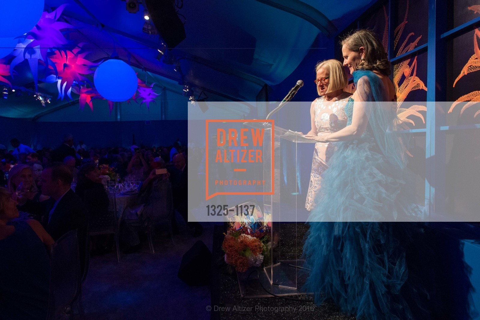 Susan Obendorf, Liebe Patterson, California Academy of Sciences - 2016 Big Bang Gala, California Academy of Sciences, April 28th, 2016, Photo #1325-1137 Susan Obendorf, Liebe Patterson, Photo #1325-1137