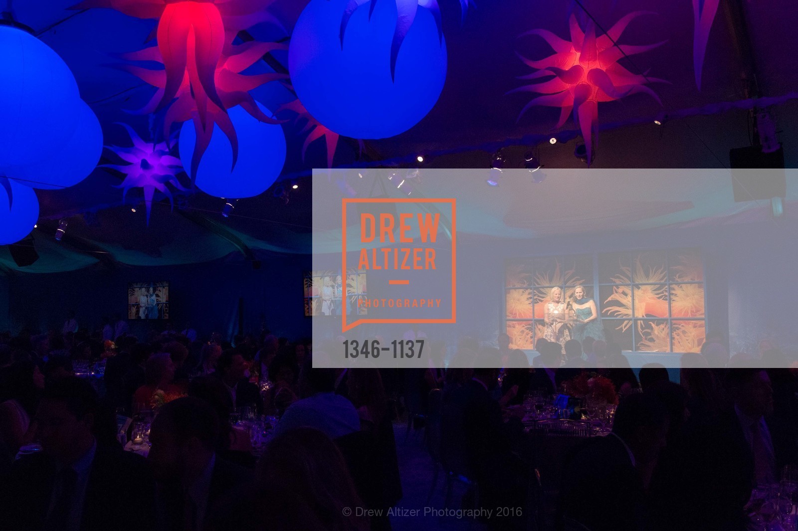 Atmosphere, California Academy of Sciences - 2016 Big Bang Gala, California Academy of Sciences, April 28th, 2016, Photo #1346-1137 Atmosphere, Photo #1346-1137