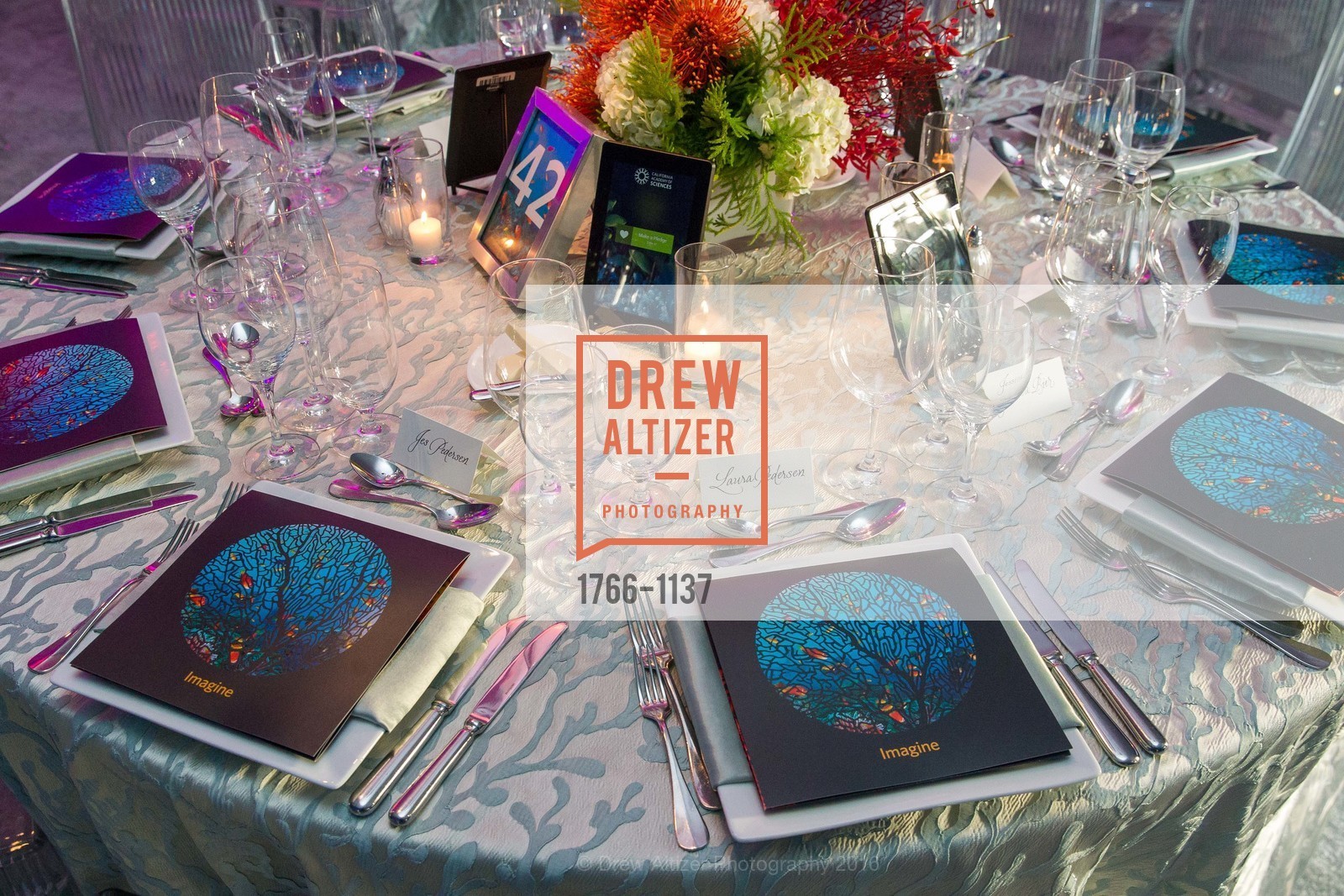 Atmosphere, California Academy of Sciences - 2016 Big Bang Gala, California Academy of Sciences, April 28th, 2016, Photo #1766-1137 Atmosphere, Photo #1766-1137
