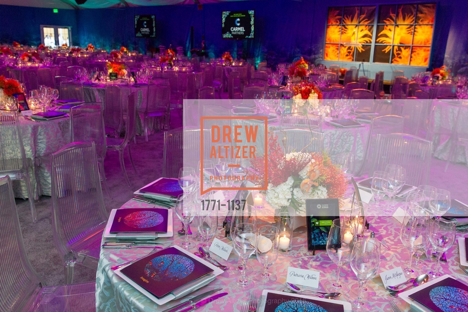 Atmosphere, California Academy of Sciences - 2016 Big Bang Gala, California Academy of Sciences, April 28th, 2016, Photo #1771-1137 Atmosphere, Photo #1771-1137