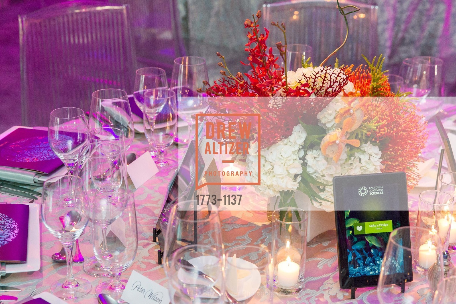 Atmosphere, California Academy of Sciences - 2016 Big Bang Gala, California Academy of Sciences, April 28th, 2016, Photo #1773-1137 Atmosphere, Photo #1773-1137