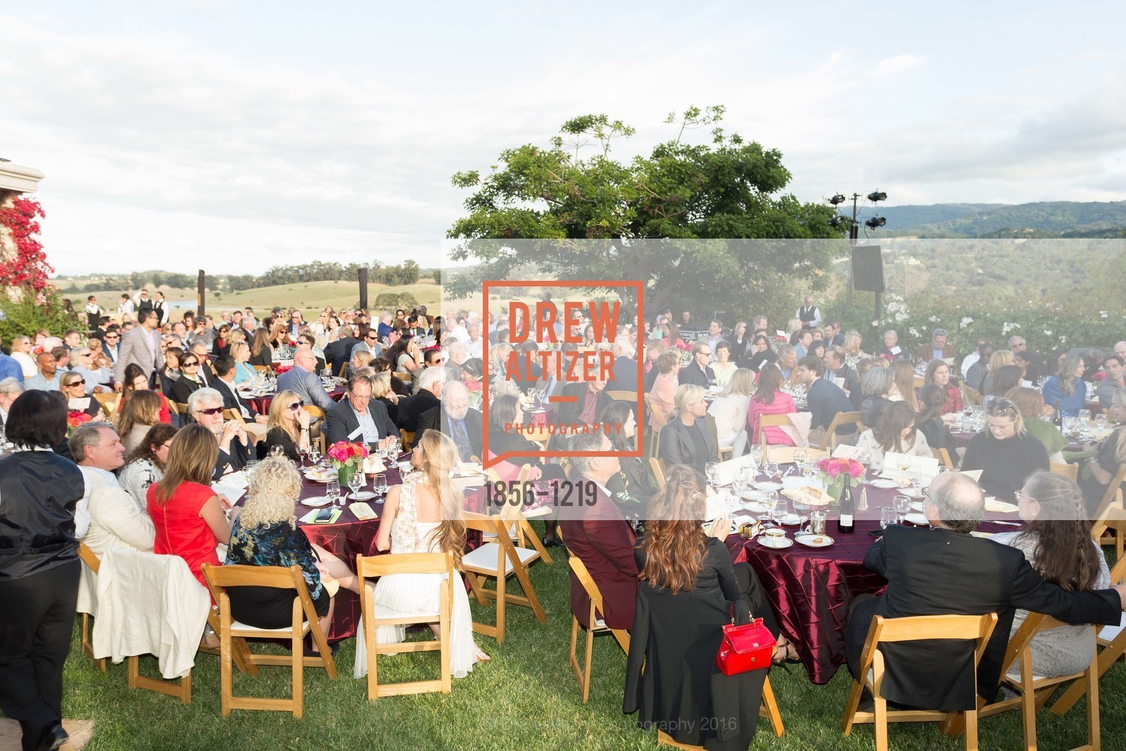 Atmosphere, Stand4Lyme Catalyst 4 The Cure Celebrity Concert, Private Residence, May 22nd, 2016, Photo #1856-1219 Atmosphere, Photo #1856-1219