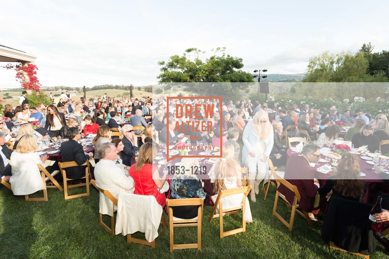 Atmosphere, Stand4Lyme Catalyst 4 The Cure Celebrity Concert, Private Residence, May 22nd, 2016, Photo #1853-1219 Atmosphere, Photo #1853-1219