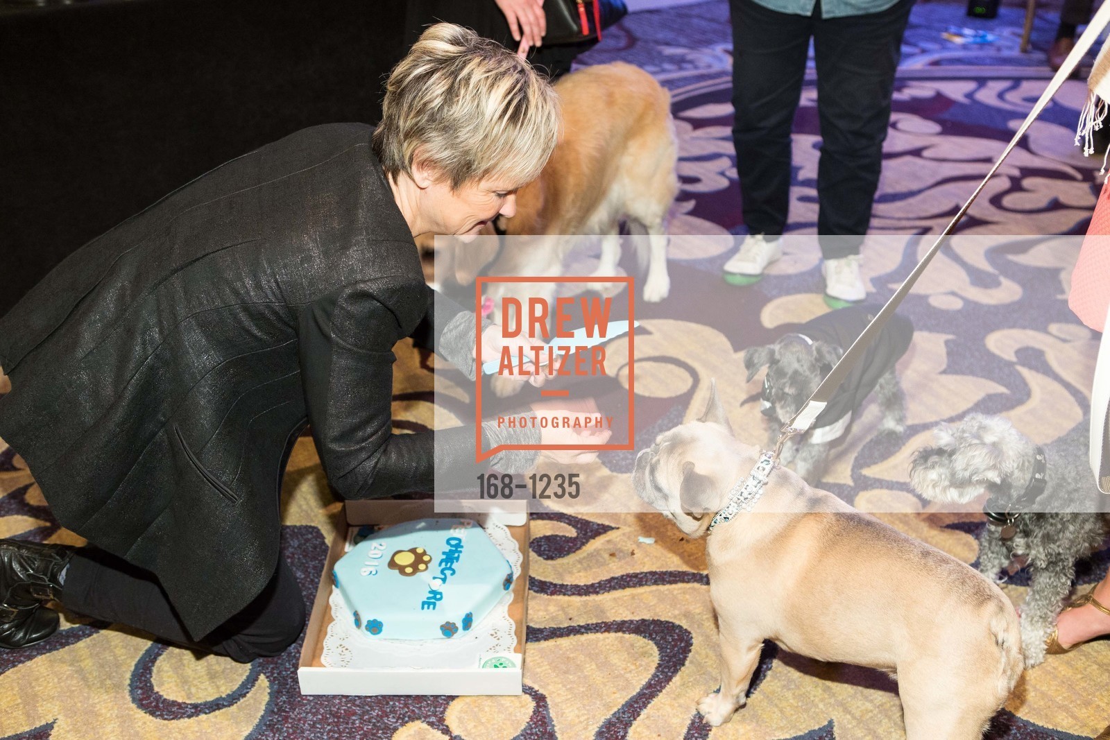 Atmosphere, Petchitecture: PAWS' 21st Fundraising Event, The Fairmont, San Francisco, May 25th, 2016, Photo #168-1235 Atmosphere, Photo #168-1235