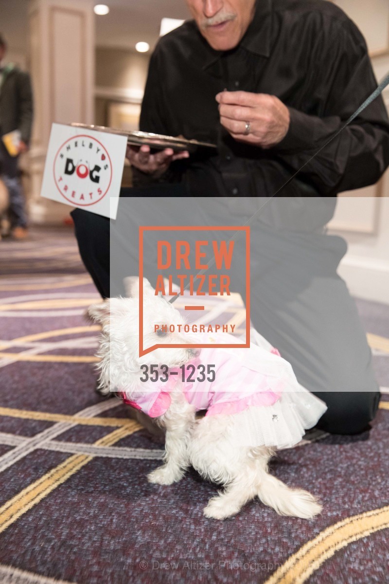 Atmosphere, Petchitecture: PAWS' 21st Fundraising Event, The Fairmont, San Francisco, May 25th, 2016, Photo #353-1235 Atmosphere, Photo #353-1235