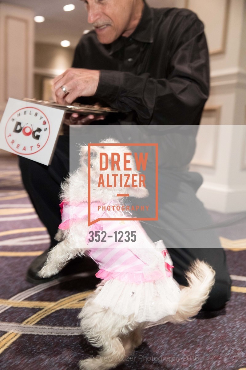 Atmosphere, Petchitecture: PAWS' 21st Fundraising Event, The Fairmont, San Francisco, May 25th, 2016, Photo #352-1235 Atmosphere, Photo #352-1235