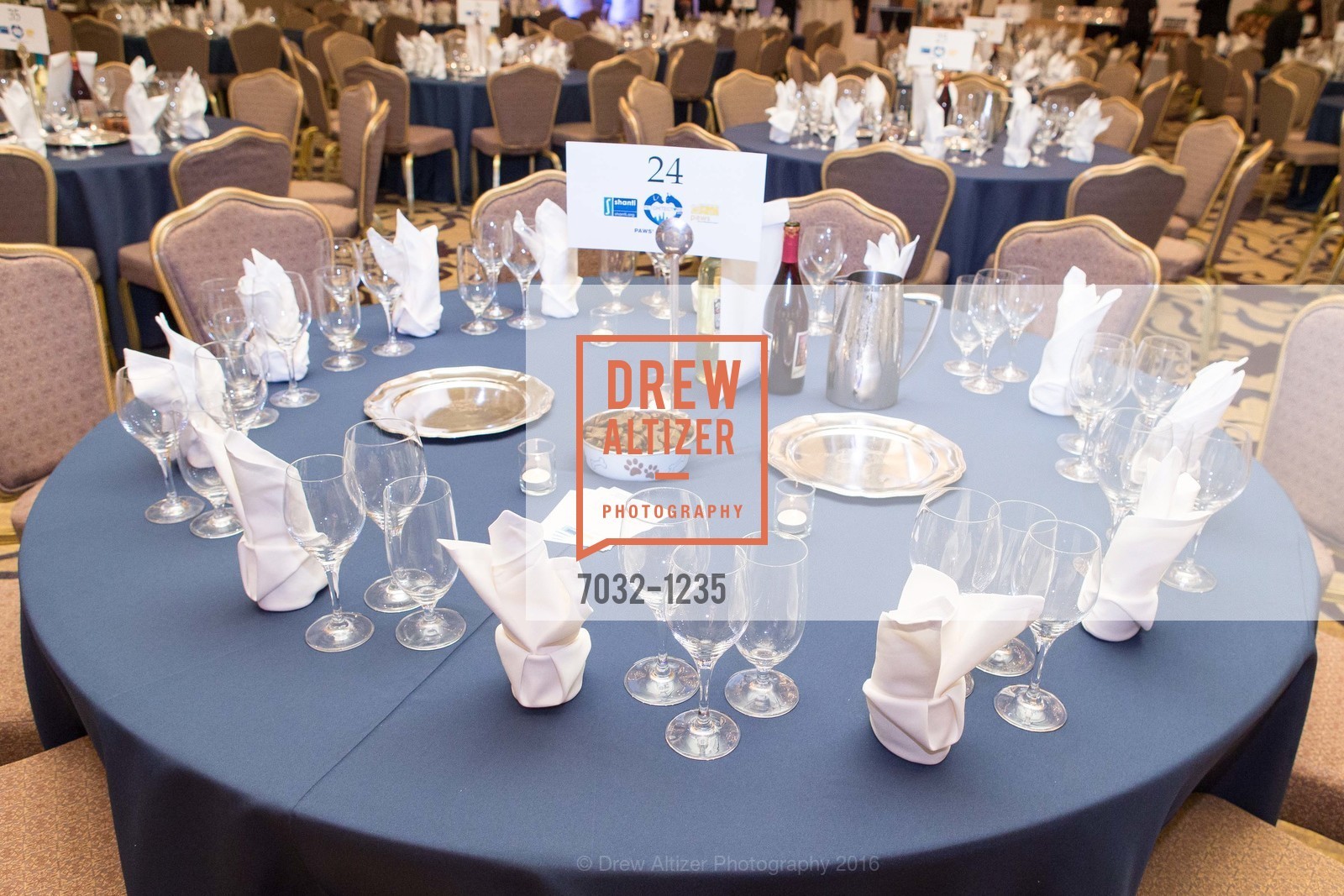 Atmosphere, Petchitecture: PAWS' 21st Fundraising Event, The Fairmont, San Francisco, May 25th, 2016, Photo #7032-1235 Atmosphere, Photo #7032-1235