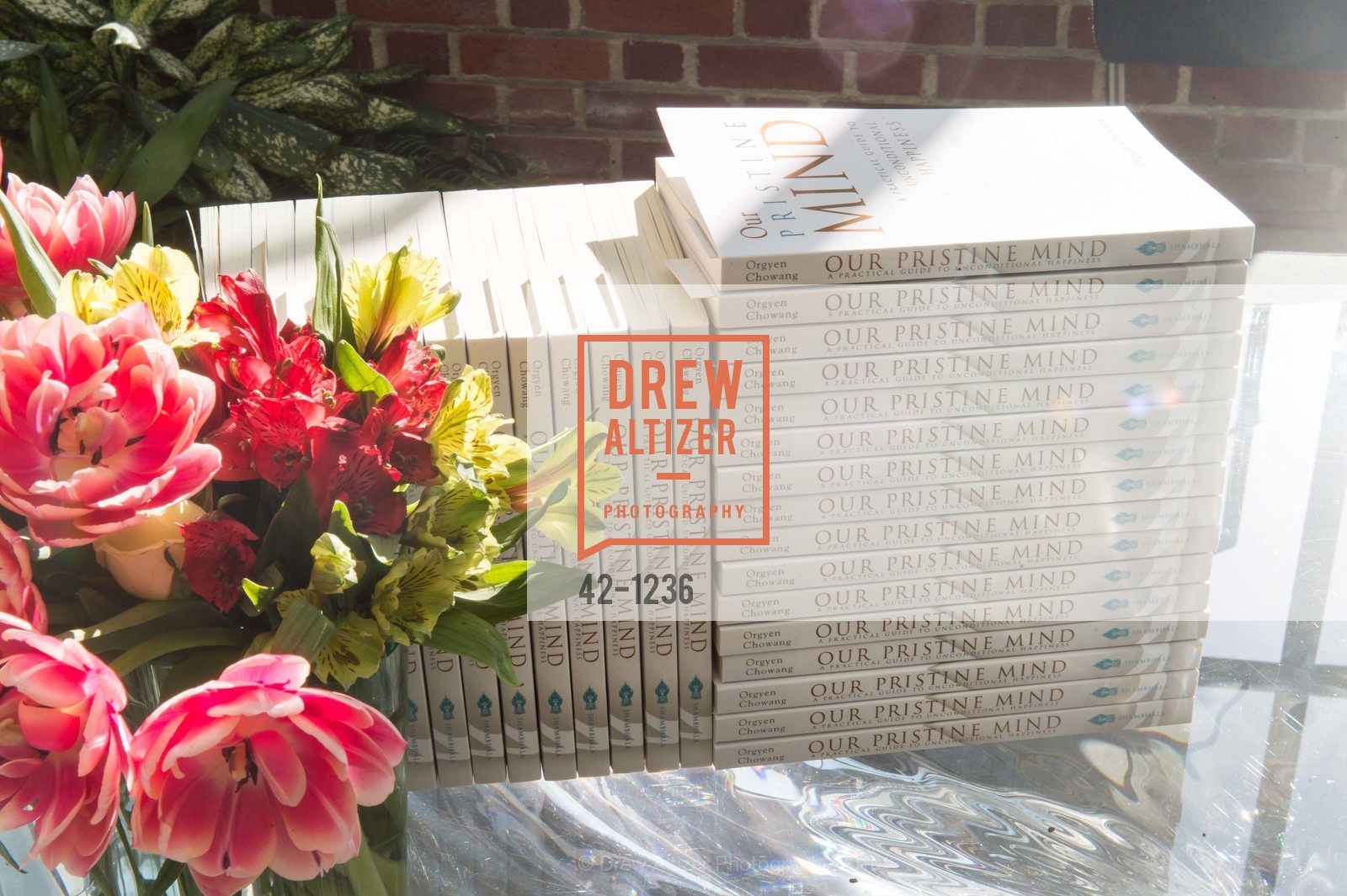 Atmosphere, Our Pristine Mind: A Practical Guide to Unconditional Happiness Book Signing Party, 2790 Broadway. 2790 Broadway, May 25th, 2016, Photo #42-1236 Atmosphere, Photo #42-1236
