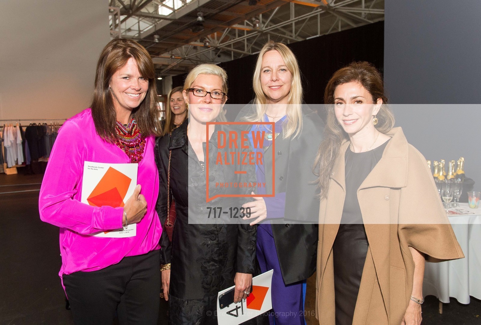 Christine Gardner, Holly Farrell, Christy MacLear, Maryam Muduroglu, Headlands Benefit Art Auction 2016, Festival Pavilion at Fort Mason Center for Arts and Culture, June 1st, 2016, Photo #717-1239 Christine Gardner, Holly Farrell, Christy MacLear, Maryam Muduroglu, Photo #717-1239