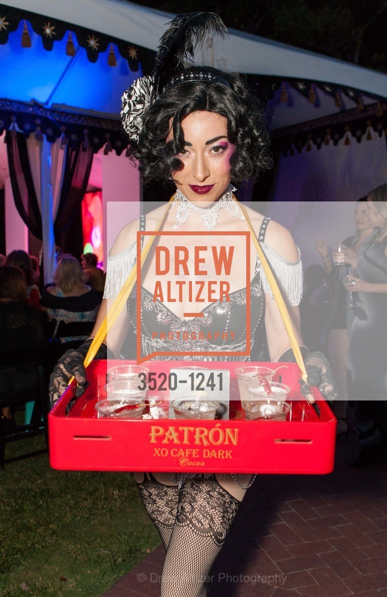 Naomi Bee, 2016 Hotbed Benefit: Le Cirque du Nuit, Private Residence, Photo #3520-1241 Naomi Bee, Photo #3520-1241