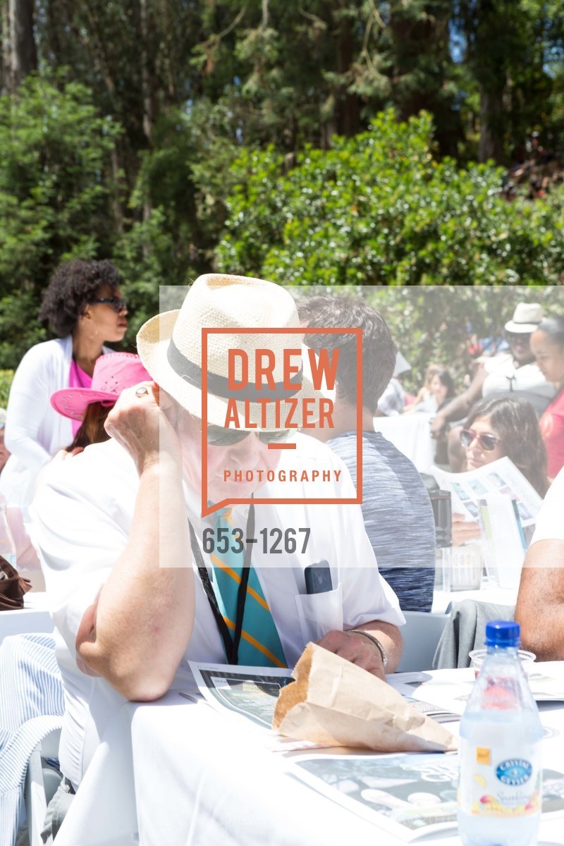 Atmosphere, Stern Grove Festival's Big Picnic, June 19th, 2016, Photo #653-1267 Atmosphere, Photo #653-1267