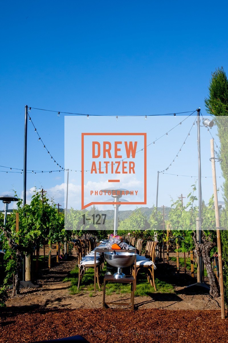 Atmosphere, An Evening in the Vineyard hosted by JACK CALHOUN & TRENT NORRIS, Jack Calhoun & Trent Norris Vineyard. 3393 Dry Creek Road, Healdsburg CA 95448, May 22nd, 2015,Drew Altizer, Drew Altizer Photography, full-service agency, private events, San Francisco photographer, photographer california