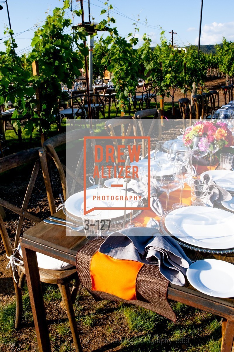 Atmosphere, An Evening in the Vineyard hosted by JACK CALHOUN & TRENT NORRIS, Jack Calhoun & Trent Norris Vineyard. 3393 Dry Creek Road, Healdsburg CA 95448, May 22nd, 2015,Drew Altizer, Drew Altizer Photography, full-service agency, private events, San Francisco photographer, photographer california