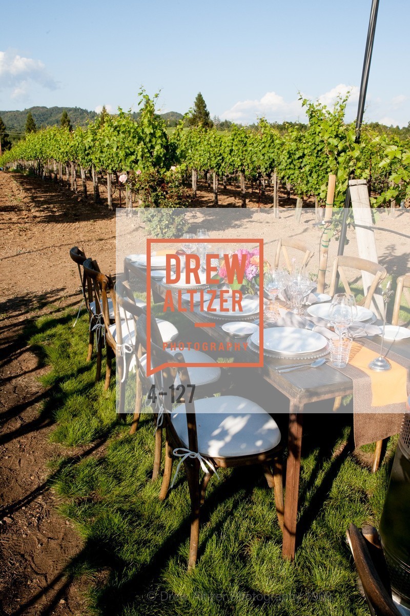 Atmosphere, An Evening in the Vineyard hosted by JACK CALHOUN & TRENT NORRIS, Jack Calhoun & Trent Norris Vineyard. 3393 Dry Creek Road, Healdsburg CA 95448, May 22nd, 2015,Drew Altizer, Drew Altizer Photography, full-service event agency, private events, San Francisco photographer, photographer California