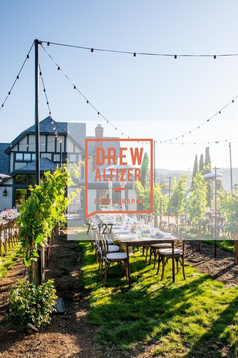 Atmosphere, An Evening in the Vineyard hosted by JACK CALHOUN & TRENT NORRIS, Jack Calhoun & Trent Norris Vineyard. 3393 Dry Creek Road, Healdsburg CA 95448, May 22nd, 2015,Drew Altizer, Drew Altizer Photography, full-service agency, private events, San Francisco photographer, photographer california