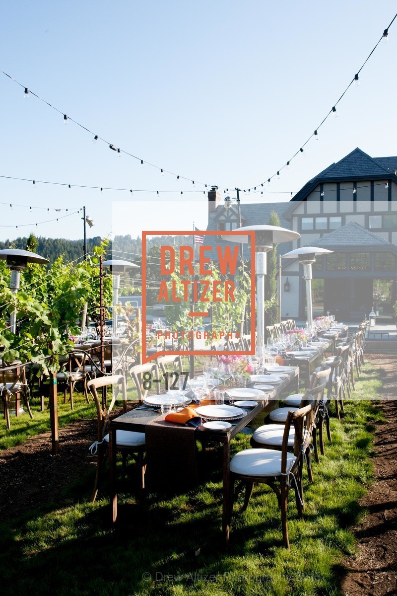 Atmosphere, An Evening in the Vineyard hosted by JACK CALHOUN & TRENT NORRIS, Jack Calhoun & Trent Norris Vineyard. 3393 Dry Creek Road, Healdsburg CA 95448, May 22nd, 2015