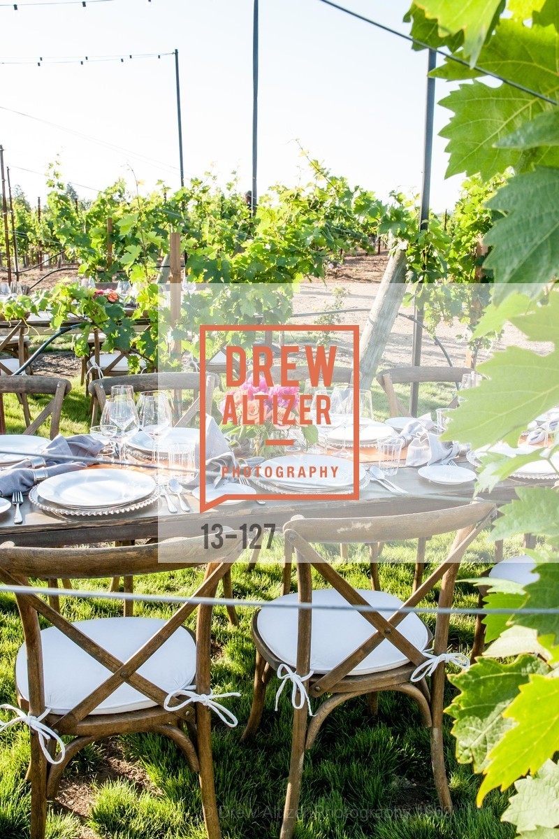 Atmosphere, An Evening in the Vineyard hosted by JACK CALHOUN & TRENT NORRIS, Jack Calhoun & Trent Norris Vineyard. 3393 Dry Creek Road, Healdsburg CA 95448, May 22nd, 2015,Drew Altizer, Drew Altizer Photography, full-service agency, private events, San Francisco photographer, photographer california