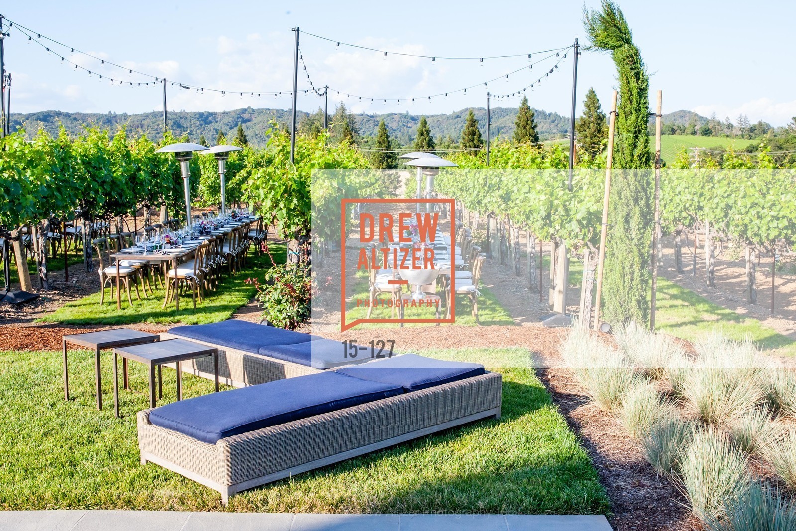 Atmosphere, An Evening in the Vineyard hosted by JACK CALHOUN & TRENT NORRIS, Jack Calhoun & Trent Norris Vineyard. 3393 Dry Creek Road, Healdsburg CA 95448, May 22nd, 2015,Drew Altizer, Drew Altizer Photography, full-service agency, private events, San Francisco photographer, photographer california