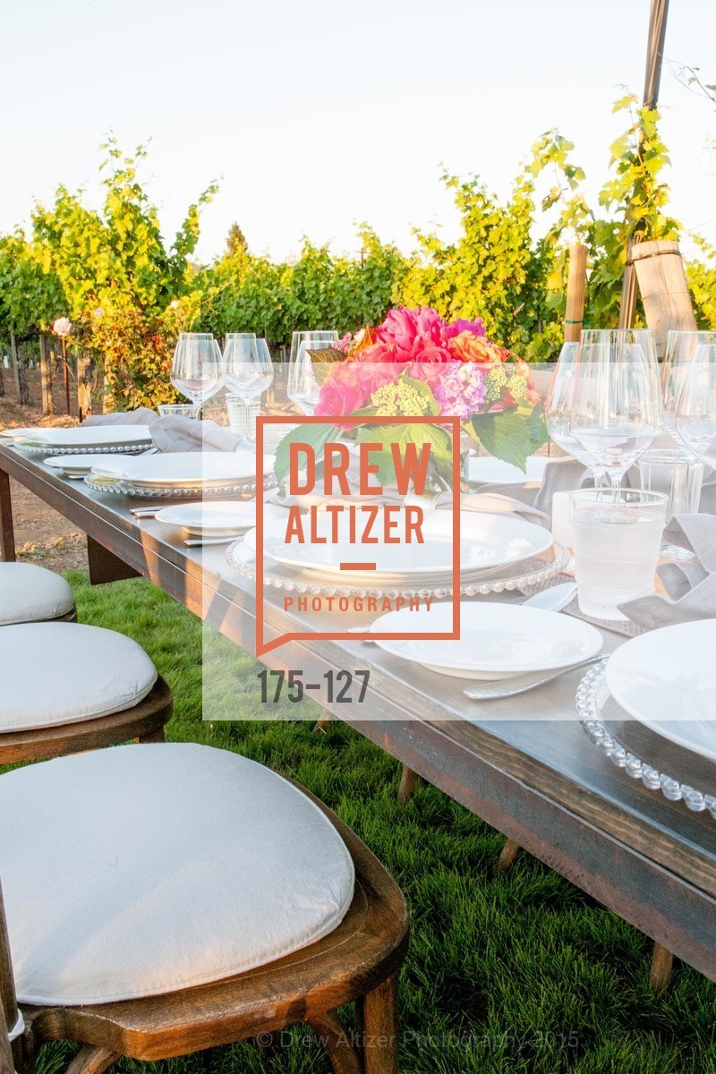 Atmosphere, An Evening in the Vineyard hosted by JACK CALHOUN & TRENT NORRIS, Jack Calhoun & Trent Norris Vineyard. 3393 Dry Creek Road, Healdsburg CA 95448, May 22nd, 2015,Drew Altizer, Drew Altizer Photography, full-service agency, private events, San Francisco photographer, photographer california