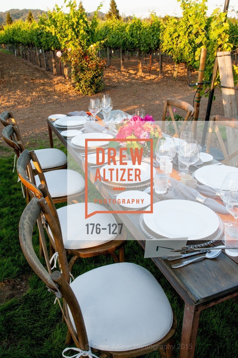 Atmosphere, An Evening in the Vineyard hosted by JACK CALHOUN & TRENT NORRIS, Jack Calhoun & Trent Norris Vineyard. 3393 Dry Creek Road, Healdsburg CA 95448, May 22nd, 2015,Drew Altizer, Drew Altizer Photography, full-service agency, private events, San Francisco photographer, photographer california