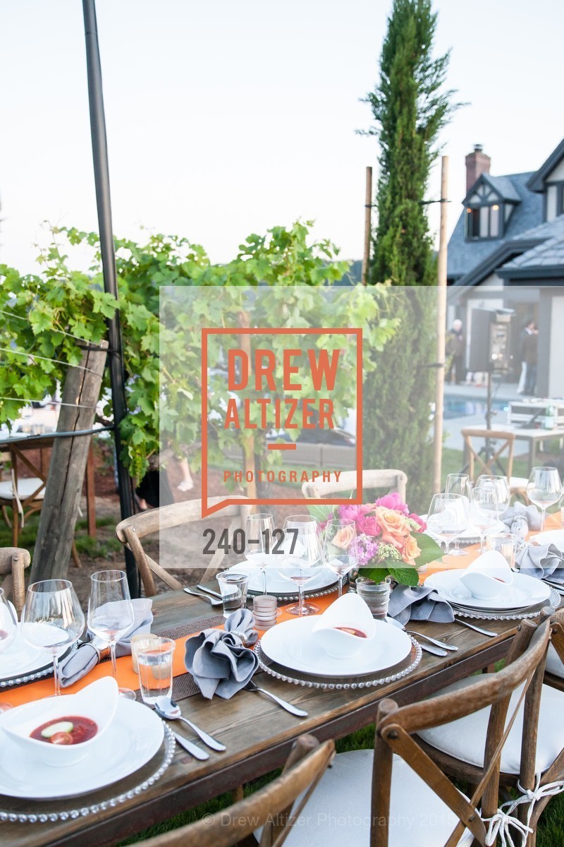 Atmosphere, An Evening in the Vineyard hosted by JACK CALHOUN & TRENT NORRIS, Jack Calhoun & Trent Norris Vineyard. 3393 Dry Creek Road, Healdsburg CA 95448, May 22nd, 2015,Drew Altizer, Drew Altizer Photography, full-service agency, private events, San Francisco photographer, photographer california