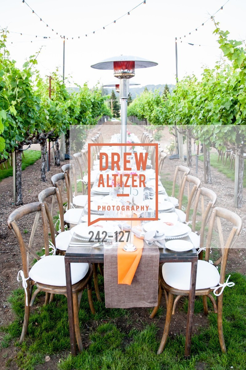 Atmosphere, An Evening in the Vineyard hosted by JACK CALHOUN & TRENT NORRIS, Jack Calhoun & Trent Norris Vineyard. 3393 Dry Creek Road, Healdsburg CA 95448, May 22nd, 2015,Drew Altizer, Drew Altizer Photography, full-service agency, private events, San Francisco photographer, photographer california