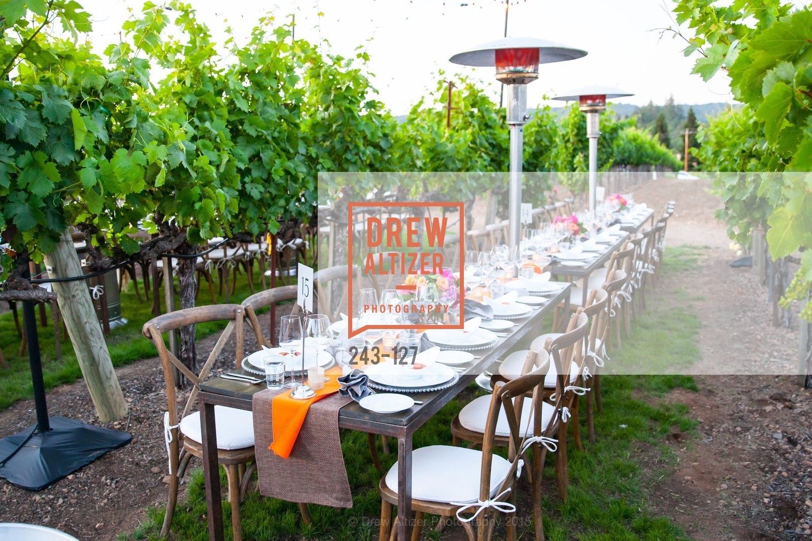Atmosphere, An Evening in the Vineyard hosted by JACK CALHOUN & TRENT NORRIS, Jack Calhoun & Trent Norris Vineyard. 3393 Dry Creek Road, Healdsburg CA 95448, May 22nd, 2015,Drew Altizer, Drew Altizer Photography, full-service agency, private events, San Francisco photographer, photographer california