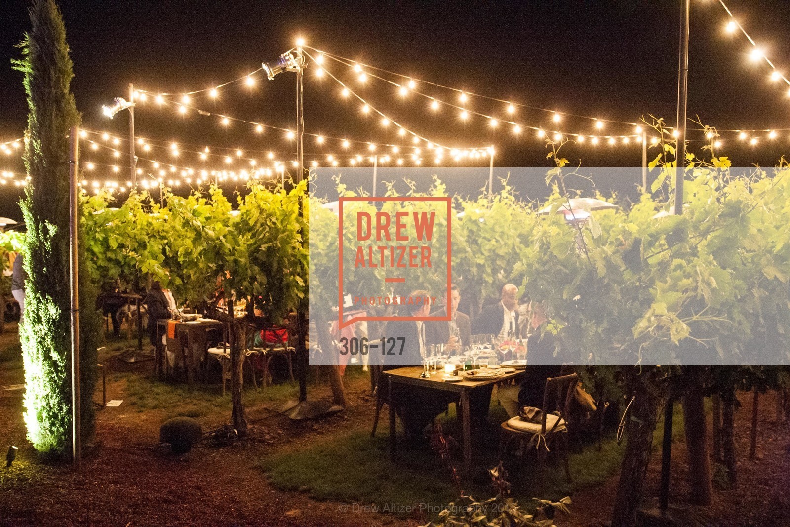 Atmosphere, An Evening in the Vineyard hosted by JACK CALHOUN & TRENT NORRIS, Jack Calhoun & Trent Norris Vineyard. 3393 Dry Creek Road, Healdsburg CA 95448, May 22nd, 2015,Drew Altizer, Drew Altizer Photography, full-service agency, private events, San Francisco photographer, photographer california