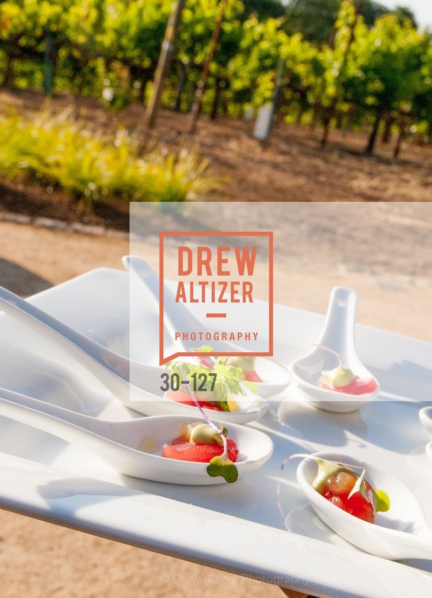 Atmosphere, An Evening in the Vineyard hosted by JACK CALHOUN & TRENT NORRIS, Jack Calhoun & Trent Norris Vineyard. 3393 Dry Creek Road, Healdsburg CA 95448, May 22nd, 2015,Drew Altizer, Drew Altizer Photography, full-service event agency, private events, San Francisco photographer, photographer California