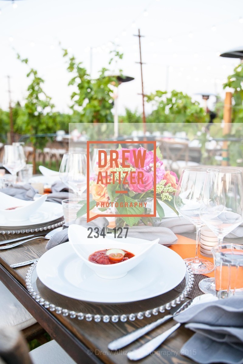 Atmosphere, An Evening in the Vineyard hosted by JACK CALHOUN & TRENT NORRIS, Jack Calhoun & Trent Norris Vineyard. 3393 Dry Creek Road, Healdsburg CA 95448, May 22nd, 2015,Drew Altizer, Drew Altizer Photography, full-service event agency, private events, San Francisco photographer, photographer California