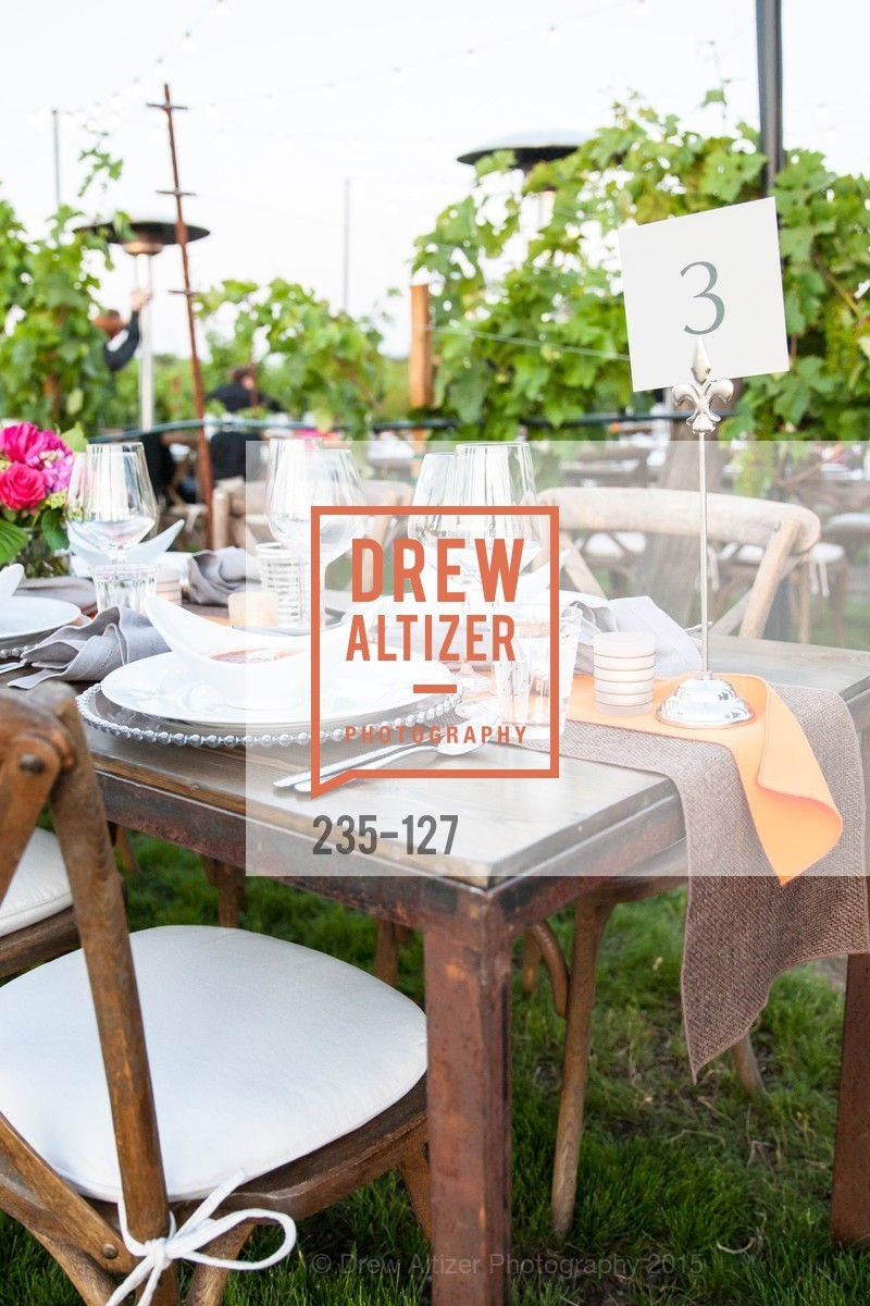 Atmosphere, An Evening in the Vineyard hosted by JACK CALHOUN & TRENT NORRIS, Jack Calhoun & Trent Norris Vineyard. 3393 Dry Creek Road, Healdsburg CA 95448, May 22nd, 2015,Drew Altizer, Drew Altizer Photography, full-service agency, private events, San Francisco photographer, photographer california