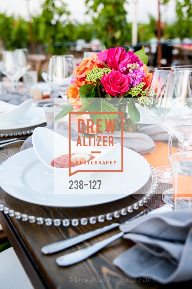 Atmosphere, An Evening in the Vineyard hosted by JACK CALHOUN & TRENT NORRIS, Jack Calhoun & Trent Norris Vineyard. 3393 Dry Creek Road, Healdsburg CA 95448, May 22nd, 2015,Drew Altizer, Drew Altizer Photography, full-service agency, private events, San Francisco photographer, photographer california
