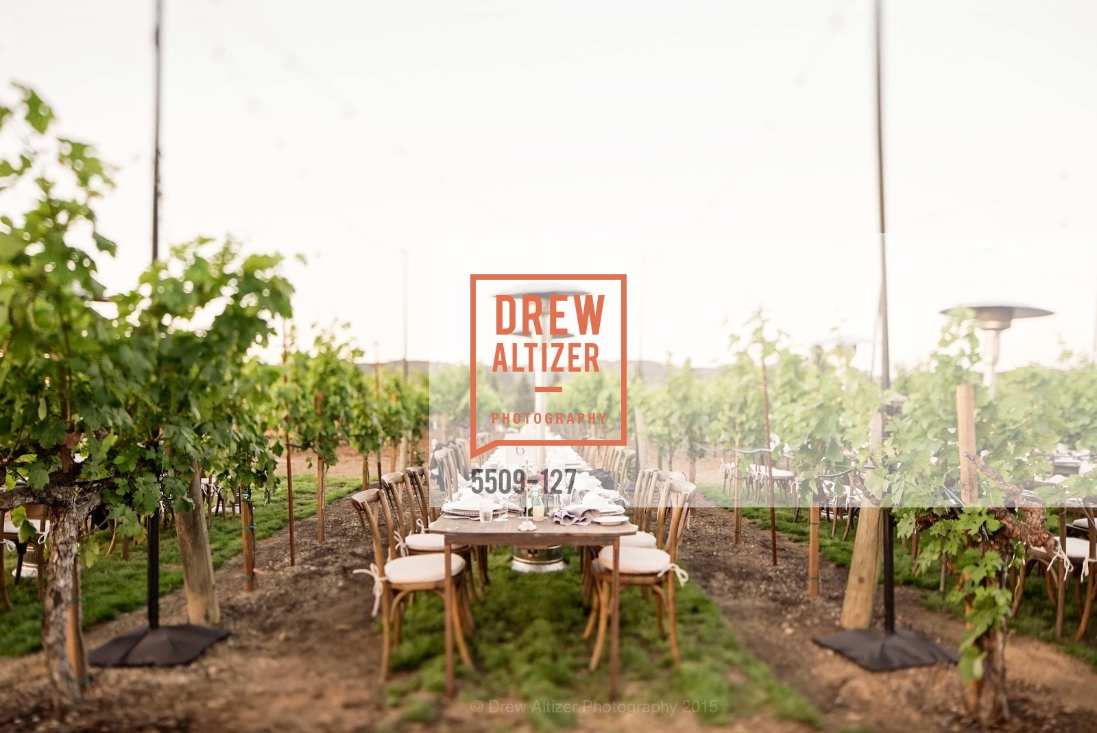 Extras, An Evening in the Vineyard hosted by JACK CALHOUN & TRENT NORRIS, May 22nd, 2015, Photo,Drew Altizer, Drew Altizer Photography, full-service agency, private events, San Francisco photographer, photographer california