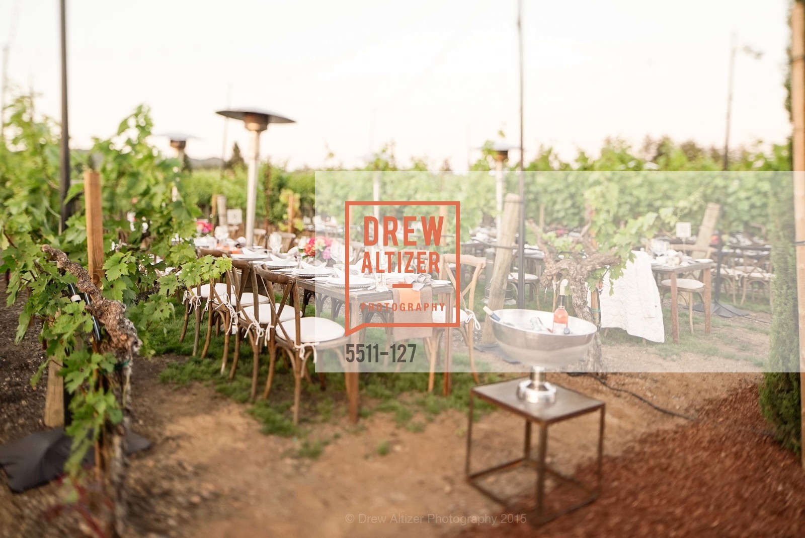 Extras, An Evening in the Vineyard hosted by JACK CALHOUN & TRENT NORRIS, May 22nd, 2015, Photo,Drew Altizer, Drew Altizer Photography, full-service agency, private events, San Francisco photographer, photographer california