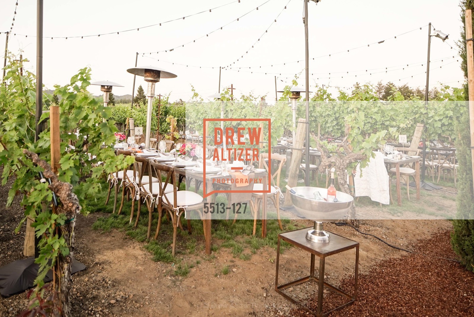 Extras, An Evening in the Vineyard hosted by JACK CALHOUN & TRENT NORRIS, May 22nd, 2015, Photo,Drew Altizer, Drew Altizer Photography, full-service agency, private events, San Francisco photographer, photographer california
