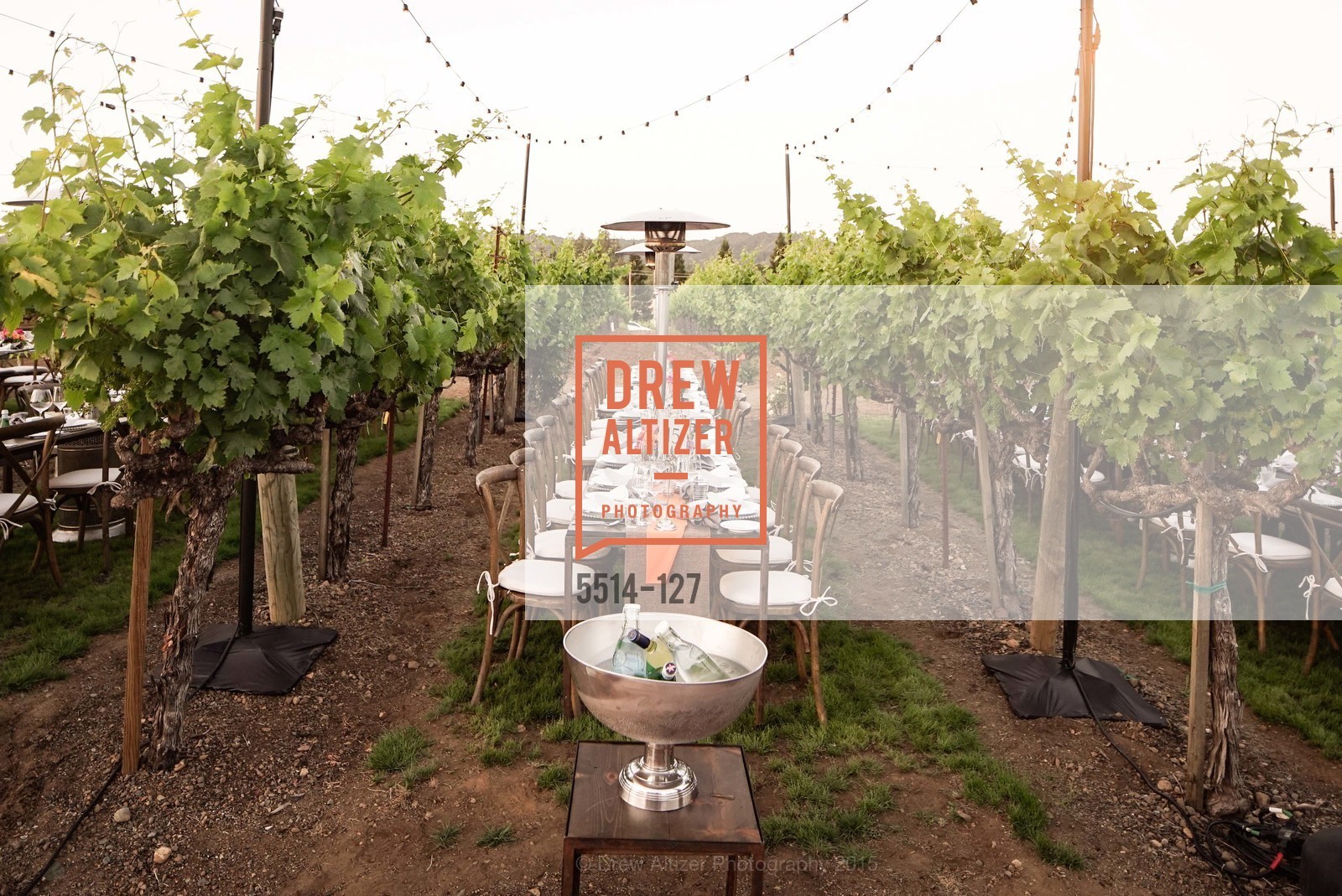 Extras, An Evening in the Vineyard hosted by JACK CALHOUN & TRENT NORRIS, May 22nd, 2015, Photo,Drew Altizer, Drew Altizer Photography, full-service event agency, private events, San Francisco photographer, photographer California